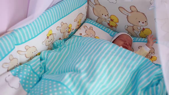 Little Baby Sleeping in Crib