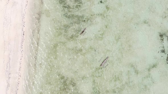 Vertical Video Boats in the Ocean Near the Coast of Zanzibar Tanzania Aerial View