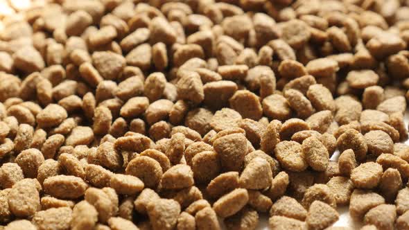 Pile of pet dry food 4K 2160p 30fps UltraHD tilting footage - Close-up pellets for cat or dog meals 