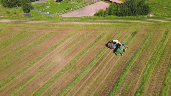 In the Field a Harvester Collects Grass and Pours It Into a Truck Aerial View