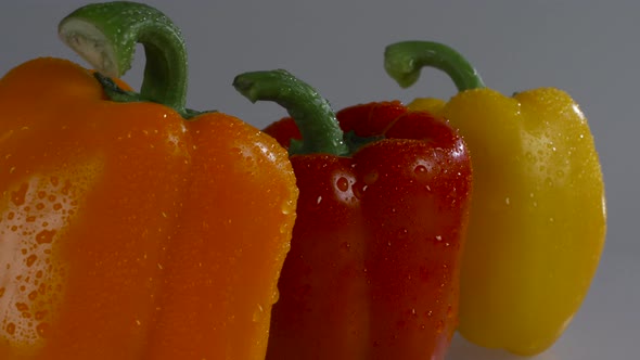 Fresh red, yellow, and orange peppers on a white background with water droplets.