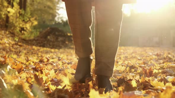 Lady Walks Kicking Leaves Spending Time in Sunny Forest