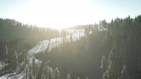 Winter Landscape Glowing By Sunlight in the Morning