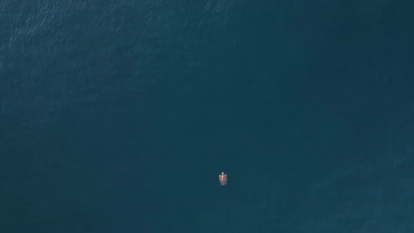 High drone view looking down at a large sea turtle as it effortlessly floats on the clear blue ocean