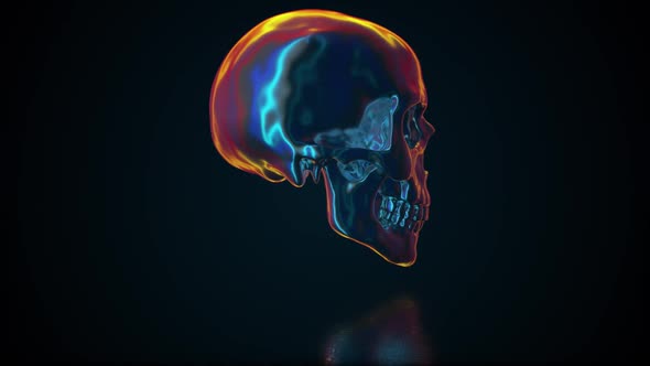 Iridescent Human Skull