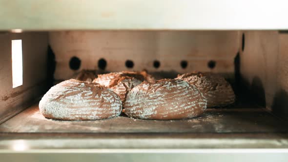 Fresh crispy Sourdough Bread in the Oven, Bread Loafs baking in Professional Electric Oven in the Ba