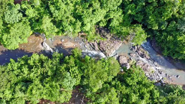Top Down View Of River With Green Vegetation, Rio Higuero In Dominican Republic - aerial drone shot
