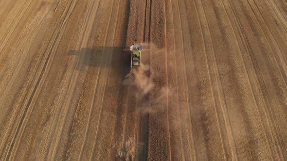 Aerial shot: flying above combine harvesting wheat at sunset