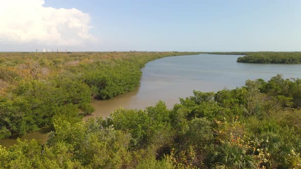 Flight over mangroves ecosystem in Lovers key, Florida
