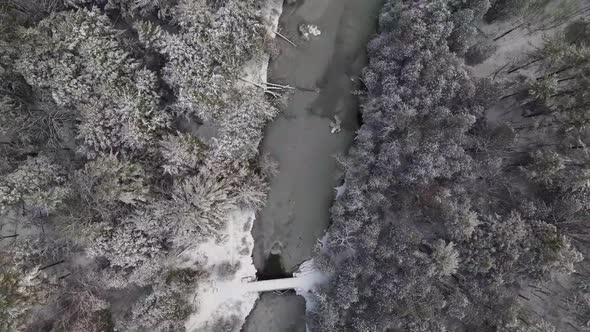 aerial fresh snow covered trees by river