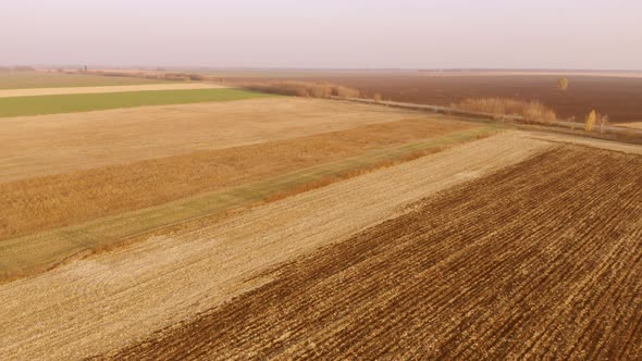 Rural Landscape with Large Field After Harvest