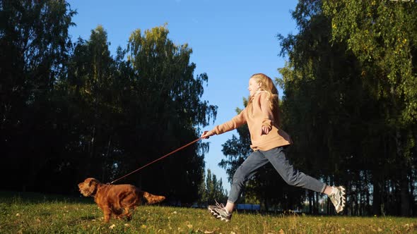 Young Blonde in Jeans Holds Ginger Spaniel on Leash in Park