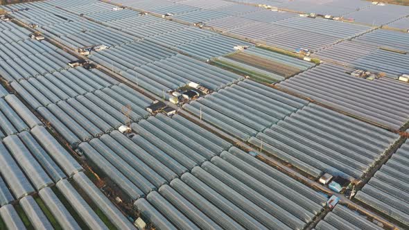 Countryside and vegetable greenhouses in the sunset