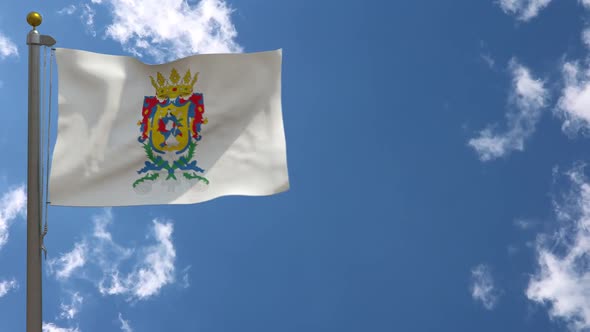 Guanajuato Flag (Mexico) On Flagpole