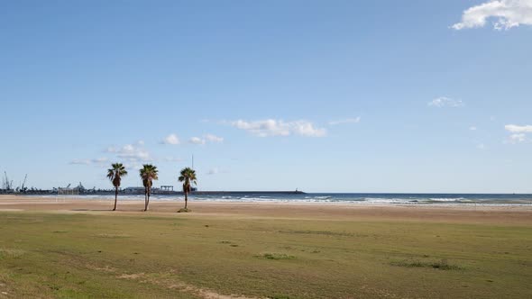 View To the Beach with 3 Palms Green Grass and Blue Sea with Waves