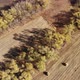 Beautiful Rural Autumn Landscape From a Height in Russia - VideoHive Item for Sale