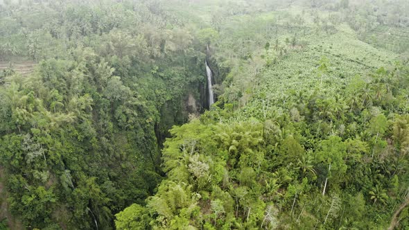 Drone Over River In Forest To Tumpak Sewu Waterfalls