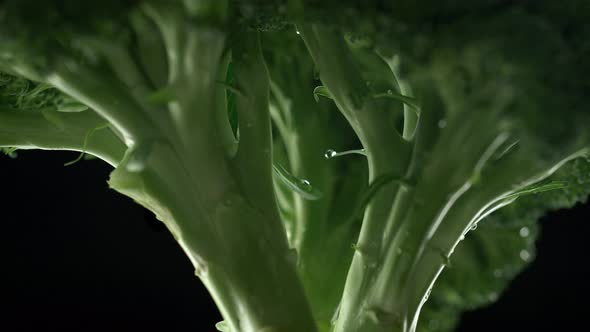 Camera follows water splash on a bunch of broccoli. Slow Motion.