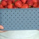 Close Up of Basket of Ripe Fresh Strawberry in Male Farmers Hands - VideoHive Item for Sale