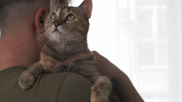 Man Stroking a Cat on His Shoulder