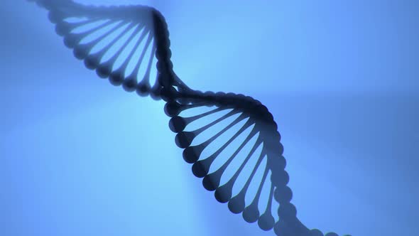 3D Rendered of DNA Helix Turning Around on Blue Background