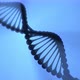 3D Rendered of DNA Helix Turning Around on Blue Background - VideoHive Item for Sale