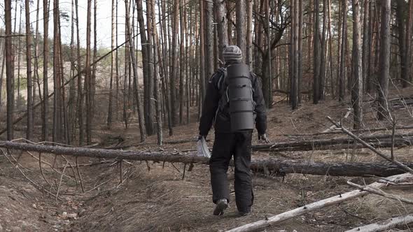 Tourist in a Pine Forest Goes Along the Route