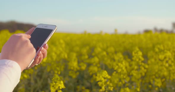 Young Farmer Using Digital Tablet at Oilseed Rape Field