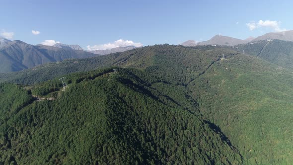 Aerial View Of Forest In Mountains