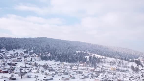 Winter Forest and Buildings. View From Above . Aerial View