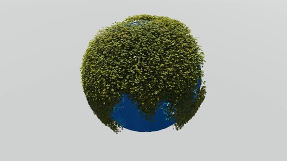 Earth rotates