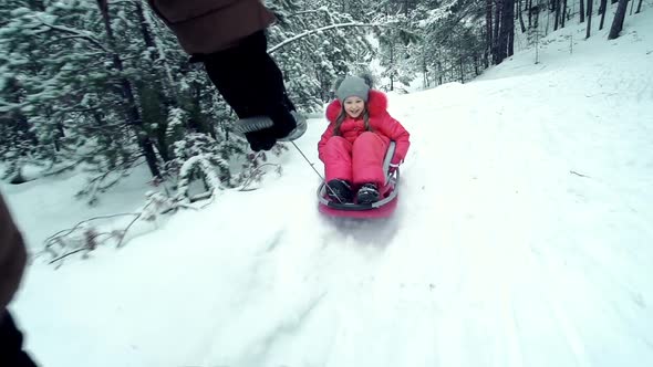 Snow Day Sledging 