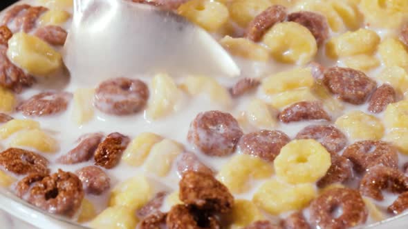 Breakfast Chocolate Corn Cereal in a Bowl with Milk