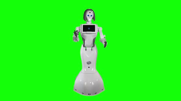 Robot Gestures Answers To Questions. Green Screen