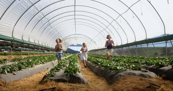 Girls running with bucket of strawberries in the farm 4k