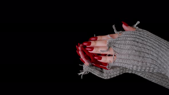 Women's Hands Holding Red Rose on Black Background