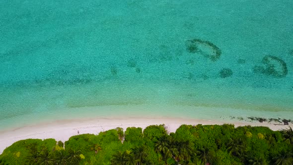 Summer texture of perfect tourist beach trip by clear ocean and white sand background near surf