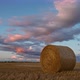 Sunset Timelapse Over The Farmer’s Pasture In Alberta’s Prairies, Canada. Western Canada - VideoHive Item for Sale