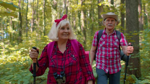 Senior Old Elderly Grandmother Grandfather Training Nordic Walking with Ski Trekking Poles in Wood