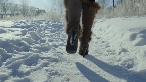 A Walk on Snow Floor with Sunlight