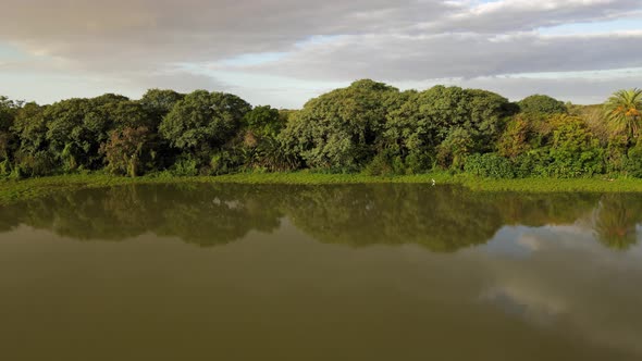 Aerial pan of green woodlands next to river on cloudy day in Argentina