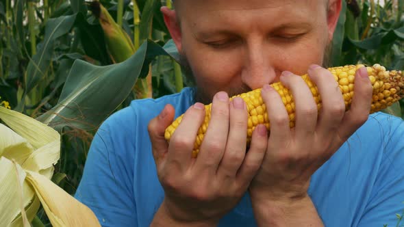 Closeup Bearded Male Farmer Stands in a Cornfield with an Ear of Freshly Picked Ripe Corn