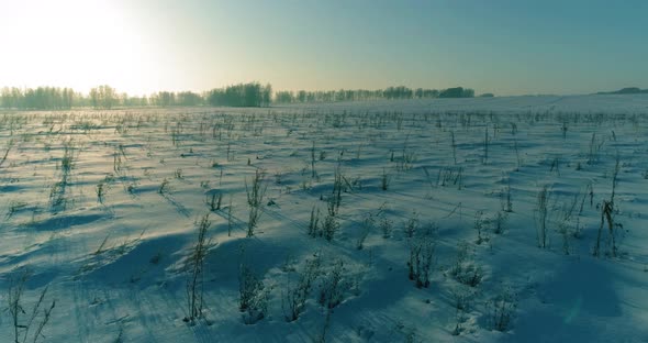 Aerial Drone View of Cold Winter Landscape with Arctic Field, Trees Covered with Frost Snow and