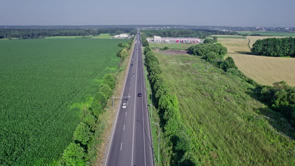 Car Riding on the Highway Through the Forest on Countryside