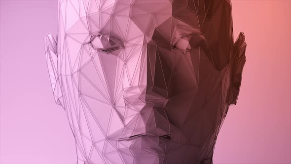 Abstract Polygonal Human Face Artificial Intelligence Concept