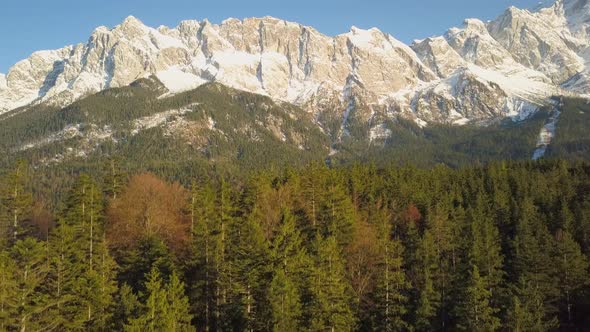 Aerial view rising above alpine woodland trees to view of majestic snowy Zugspitze sunlit mountains