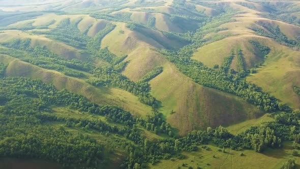 Aerial Drone Footage View Flying Over Spring Mountains Hills and Meadows with Pine Forests in Sun