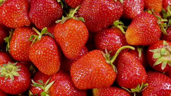 Slow Motion Rotation of Juicy Red Ripe Organic Strawberries