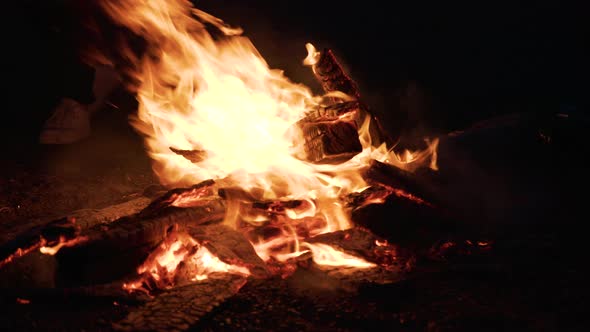 Blazing Fire Of Burning Woods With People On Outdoor Camping. Close Up