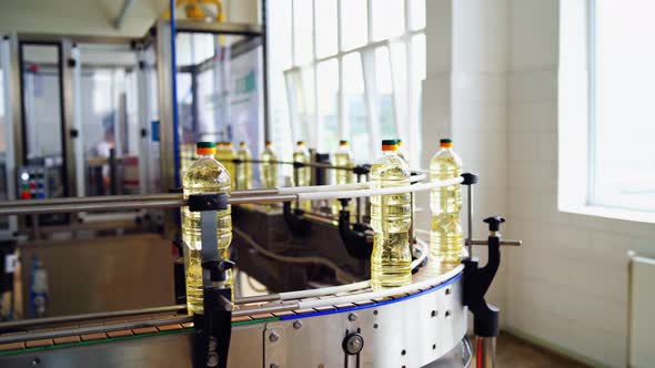 Bottle With Sunflower Oil on the Conveyor